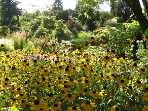 Karl Foerster Garten Potsdam Bornim Foto Brandt